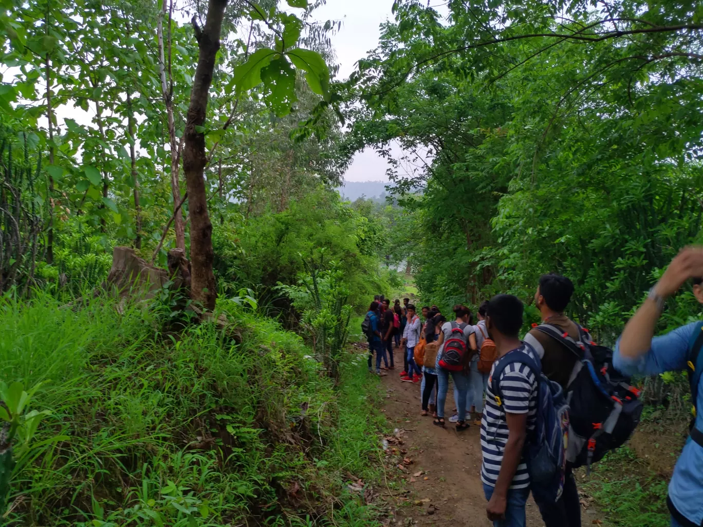 Photo of Wilson Hills By Ashutosh Sheth