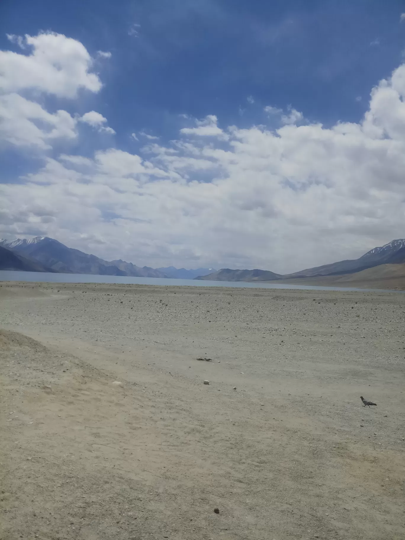 Photo of Ladakh By Ñítin Wãdhwã Niks