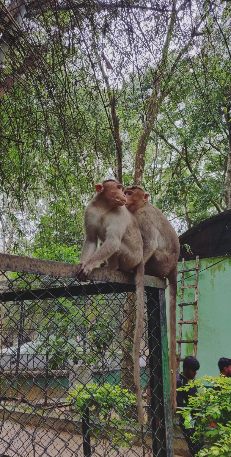 Photo of Bannerughatta By chetan