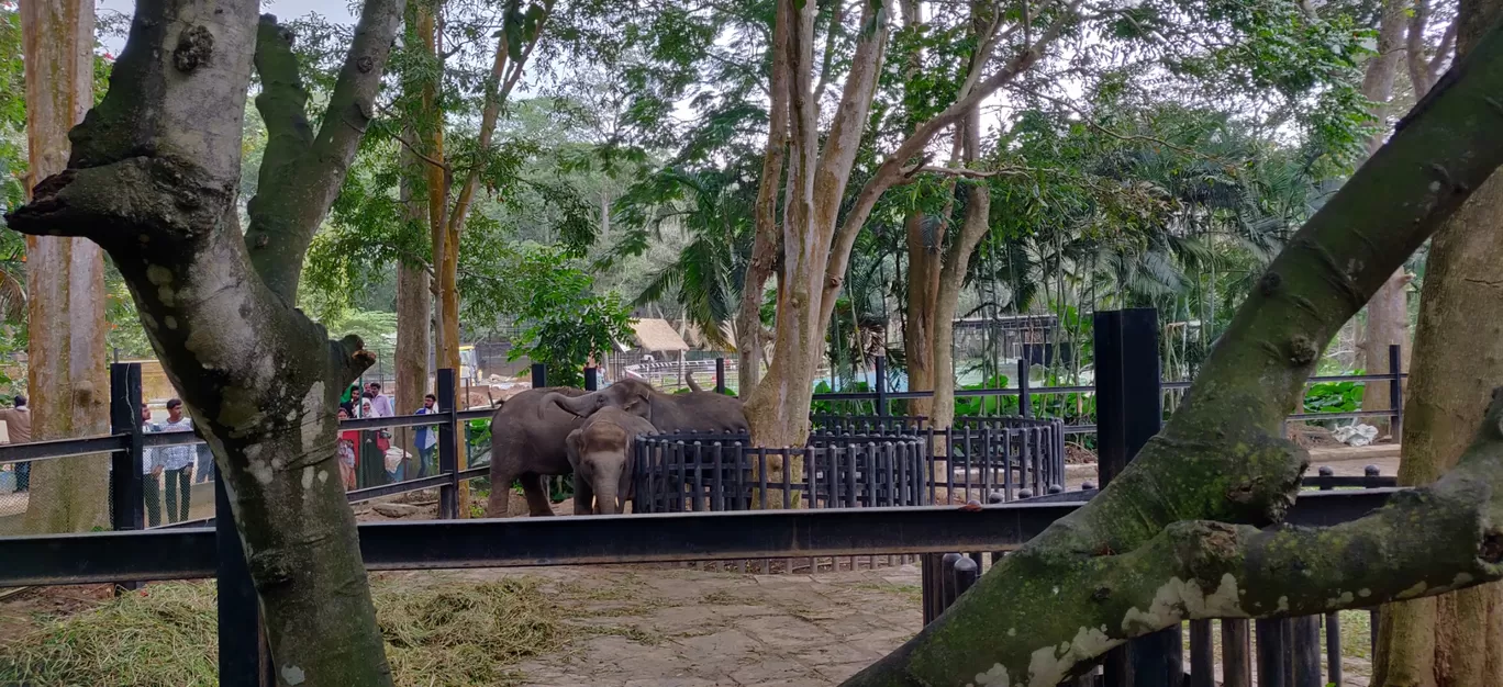 Photo of Bannerughatta By chetan