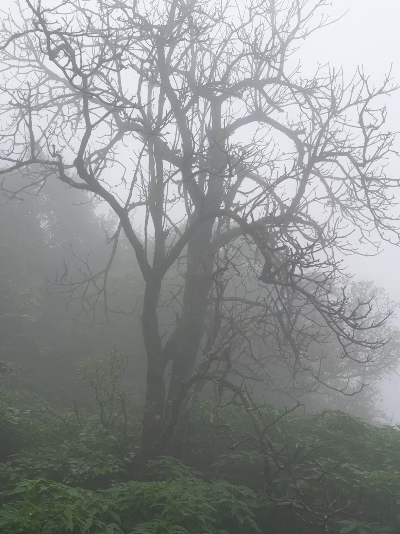 Photo of Lonavala By laksh laishetty