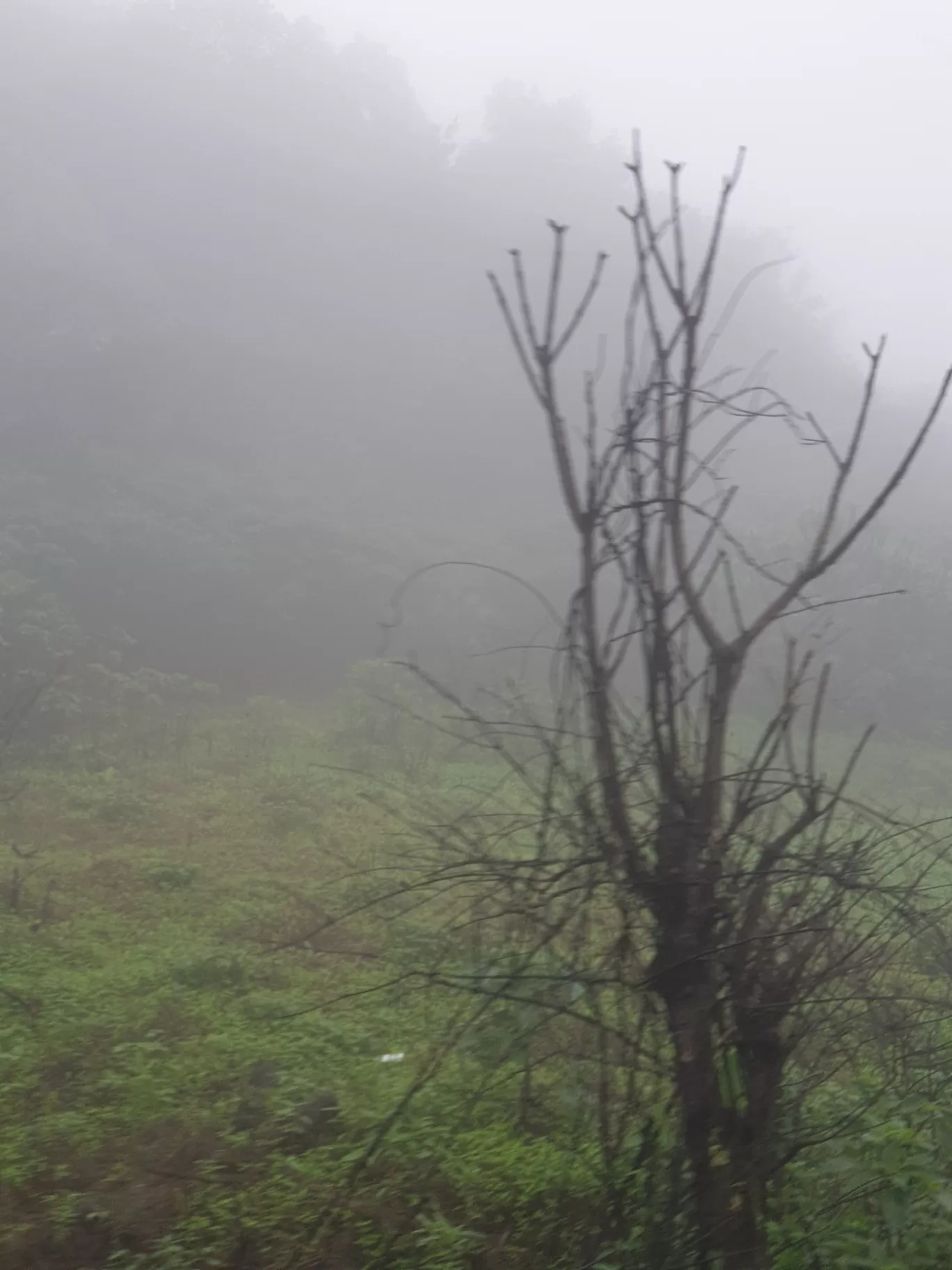 Photo of Lonavala By laksh laishetty