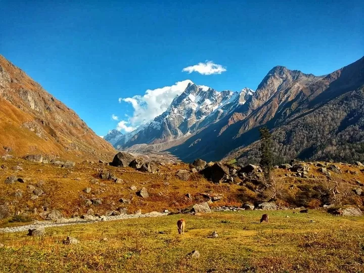 Photo of Har Ki Doon Trek By अंकित कैन्तुरा