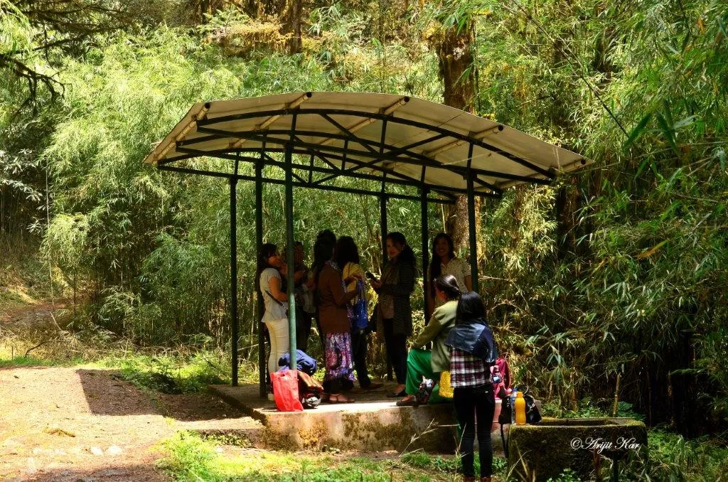 Photo of Barsey Rhododendron Sanctuary By Arijit Kar