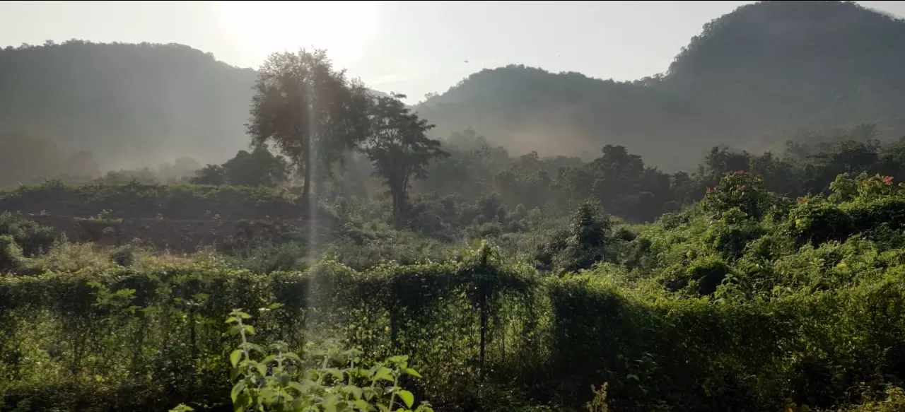 Photo of Devarapalli By Paul Subodh