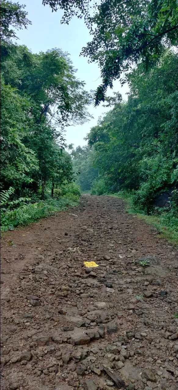 Photo of Devarapalli By Paul Subodh