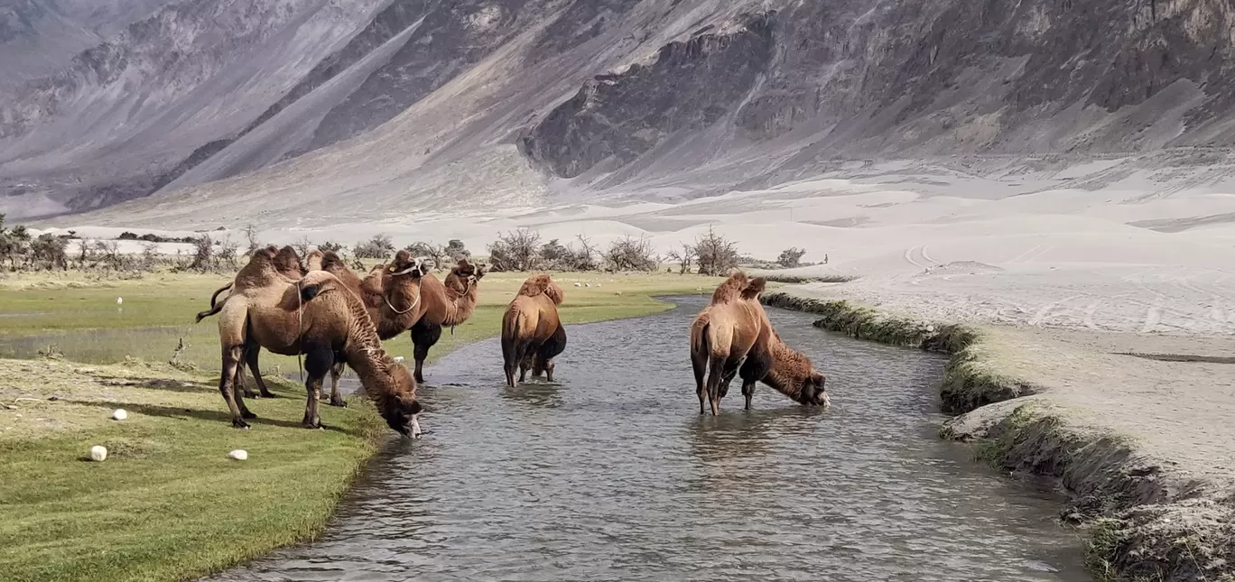 Photo of Ladakh By like_arollingstone