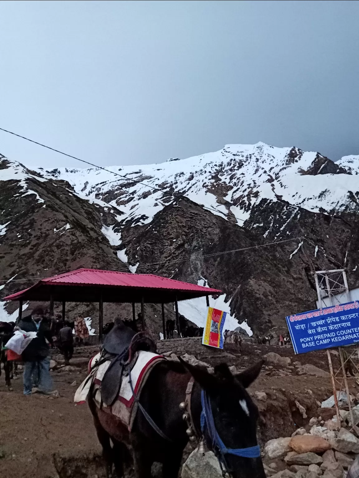 Photo of Kedarnath By Praveen Gupta (pk)