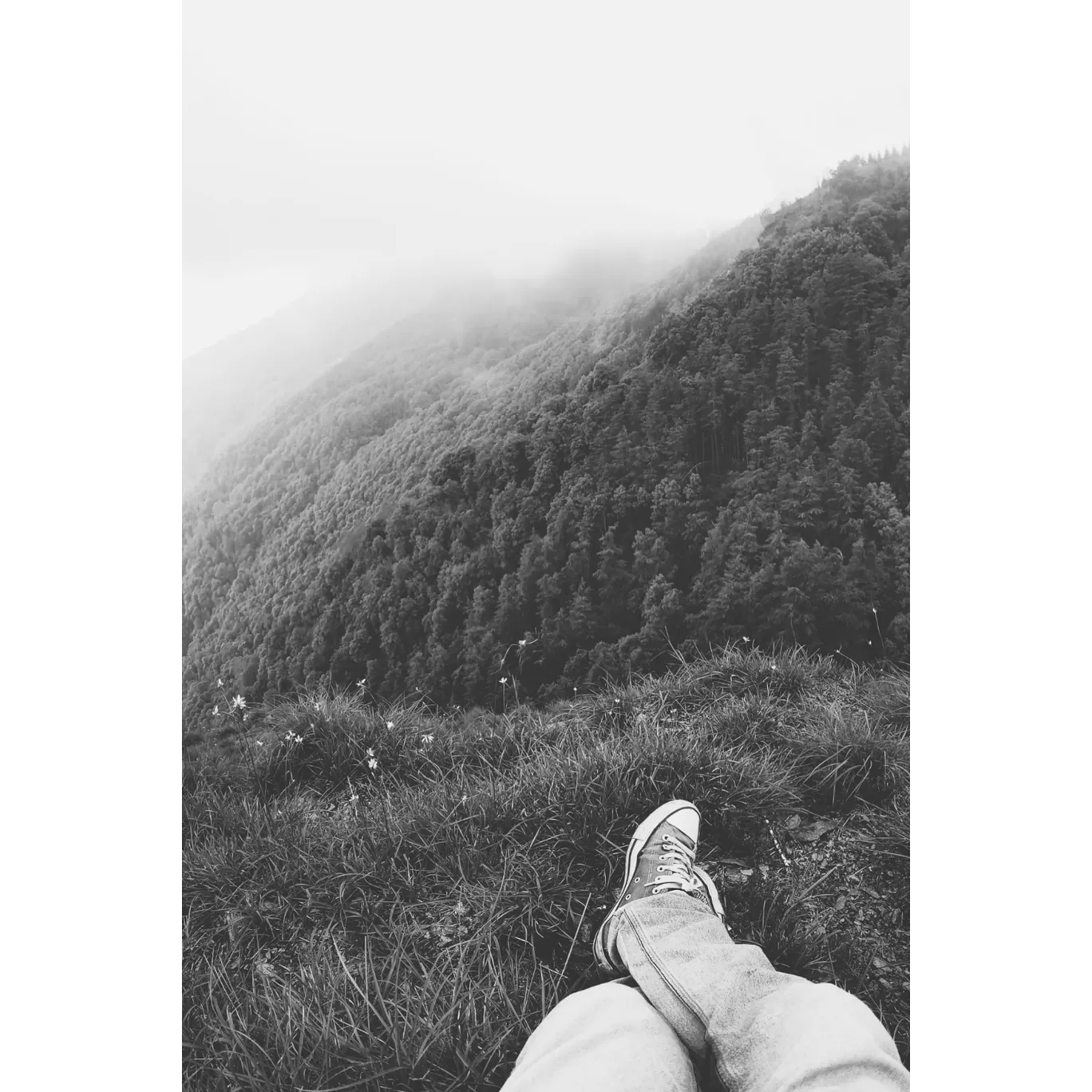 Photo of Shimla By Aman Chauhan