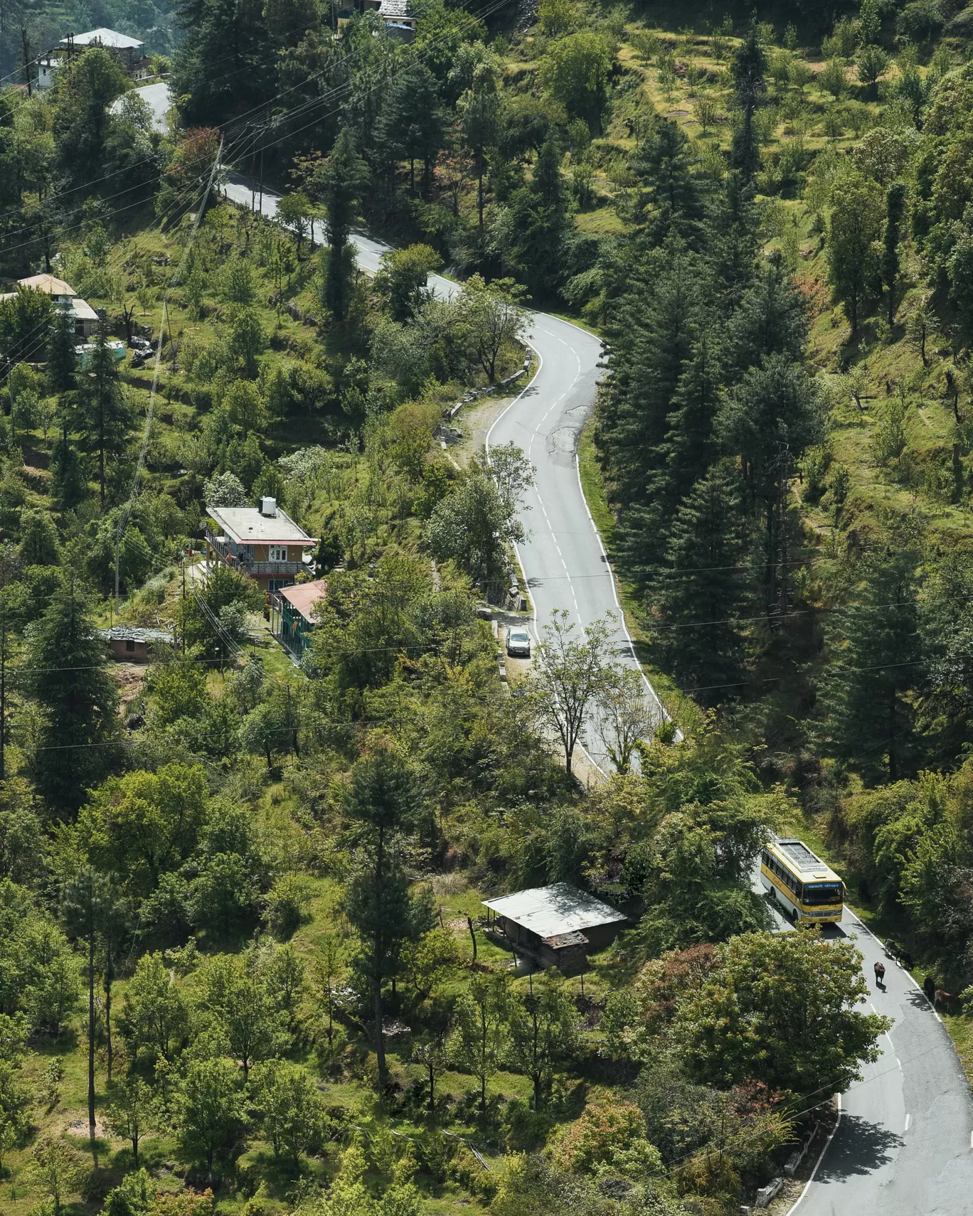 Photo of Narkand By Rashmeet