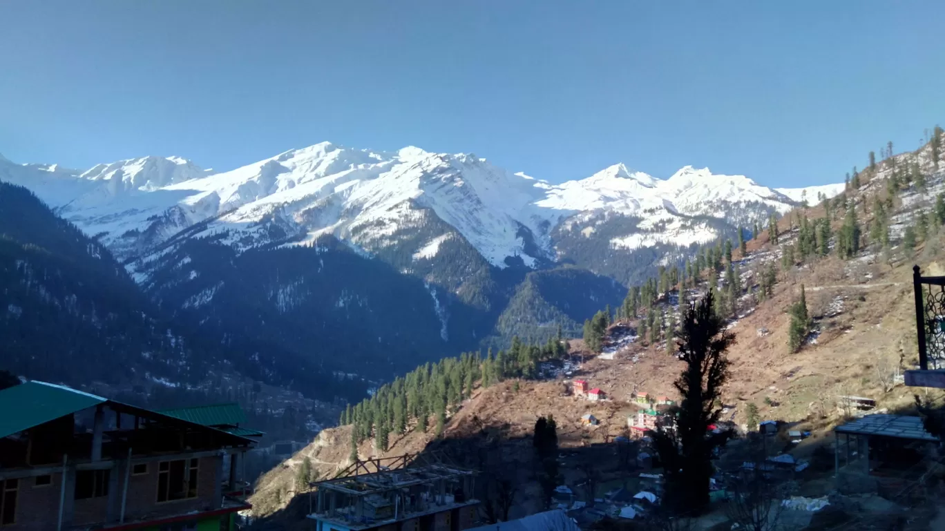 Photo of Tosh By Ashish Singh