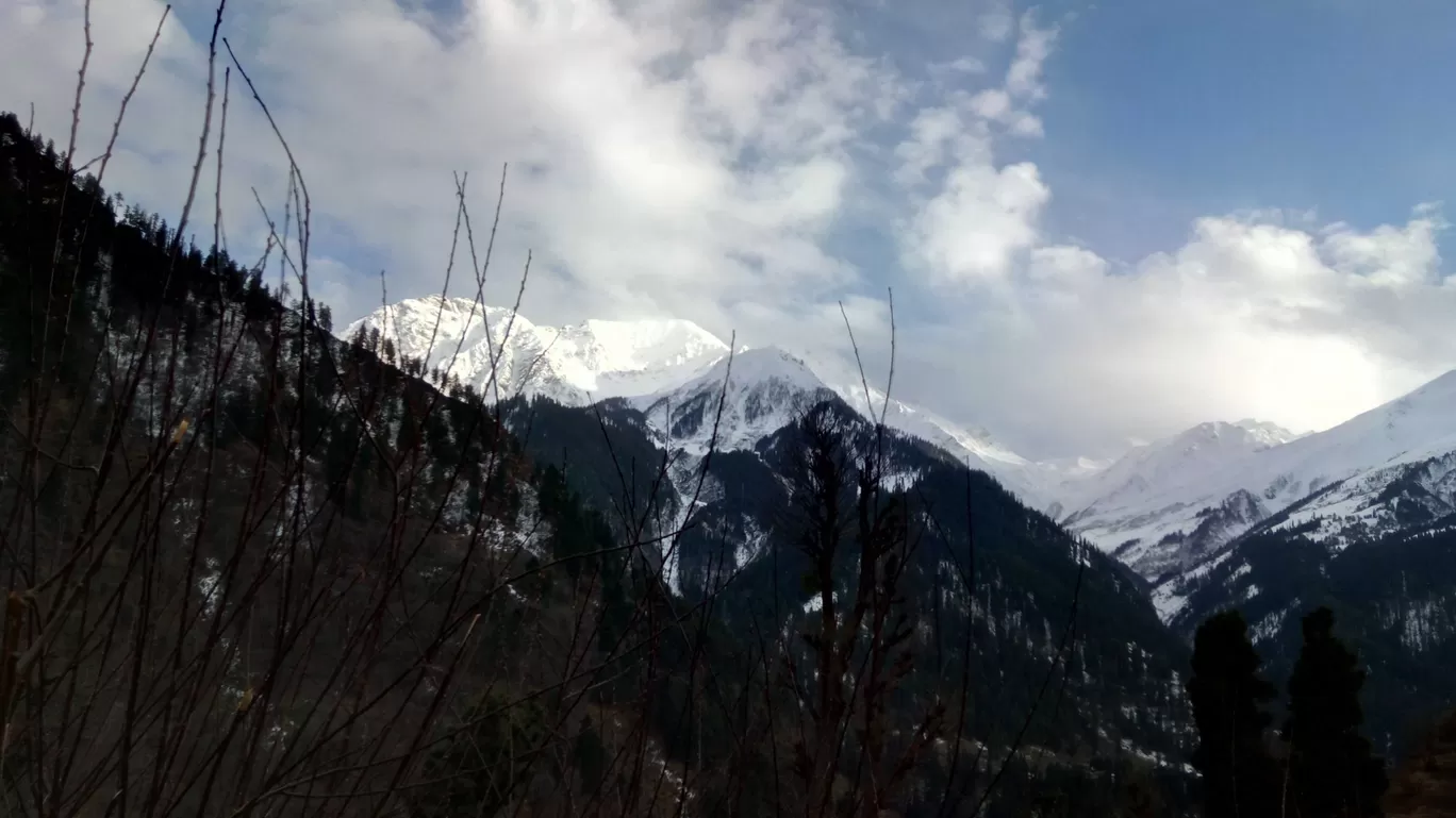 Photo of Tosh By Ashish Singh
