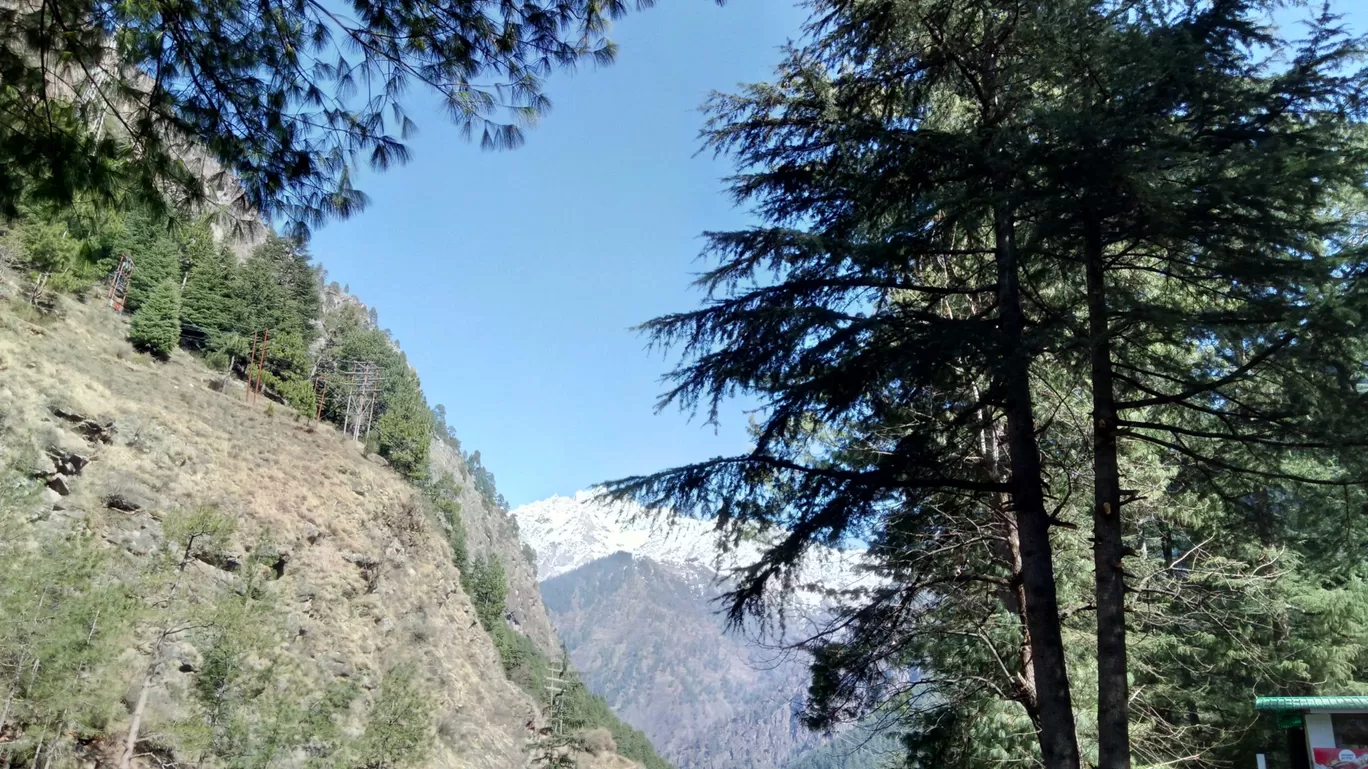 Photo of Tosh By Ashish Singh