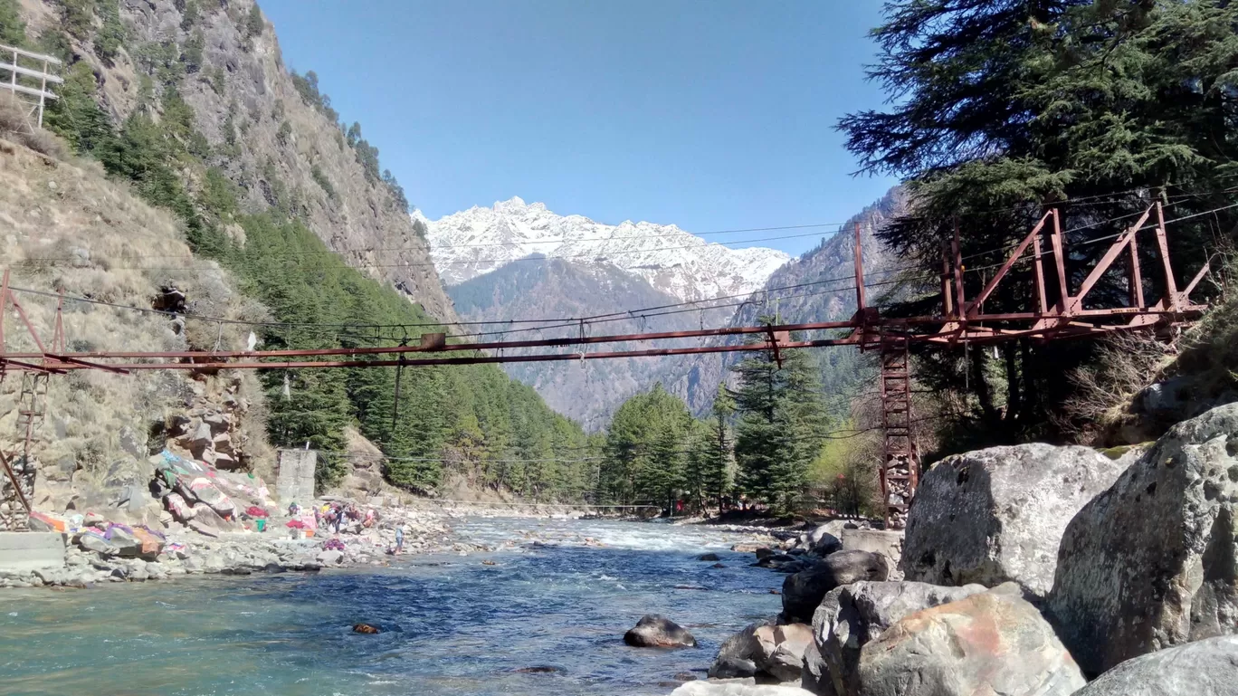 Photo of Tosh By Ashish Singh