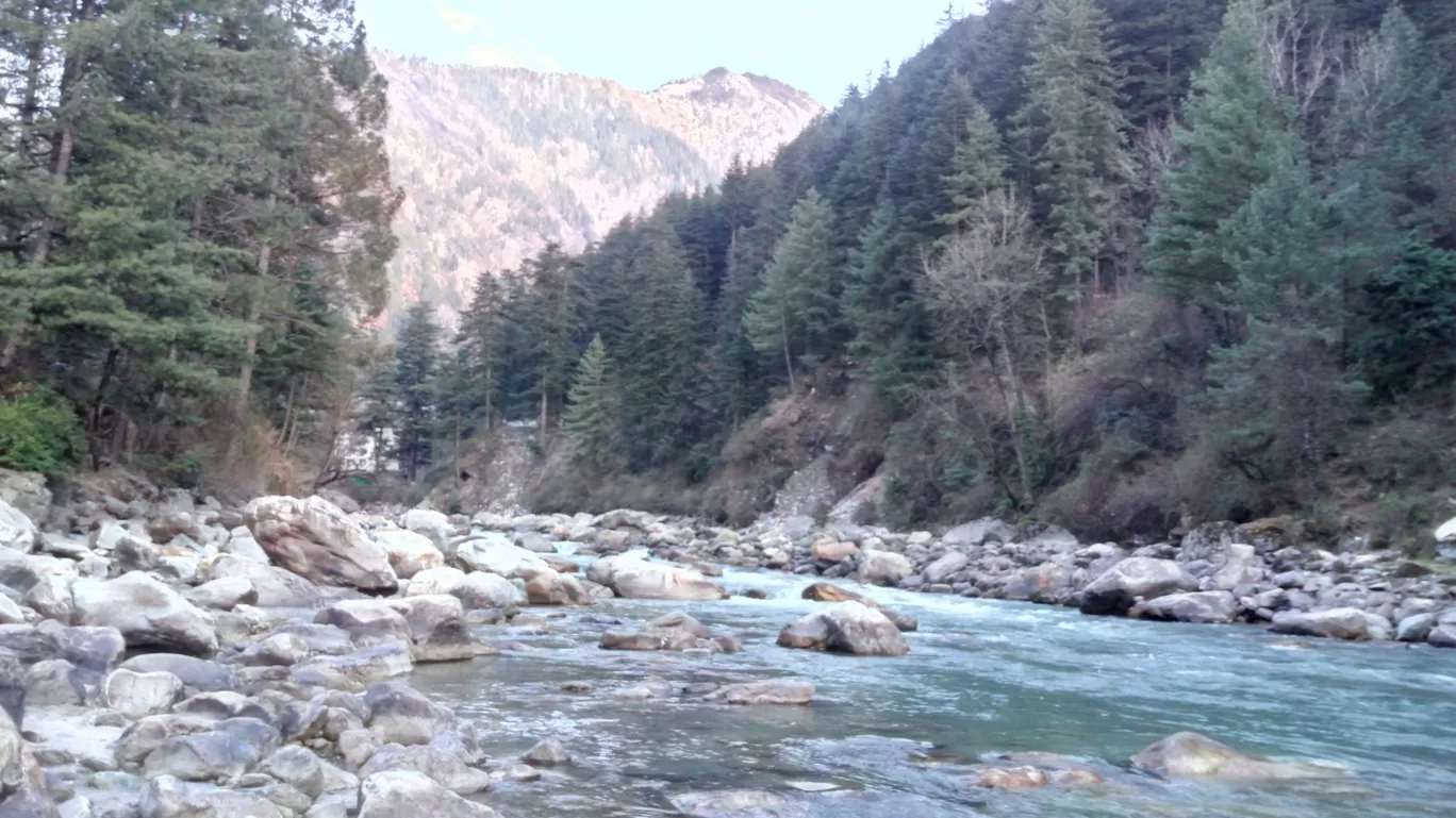 Photo of Tosh By Ashish Singh