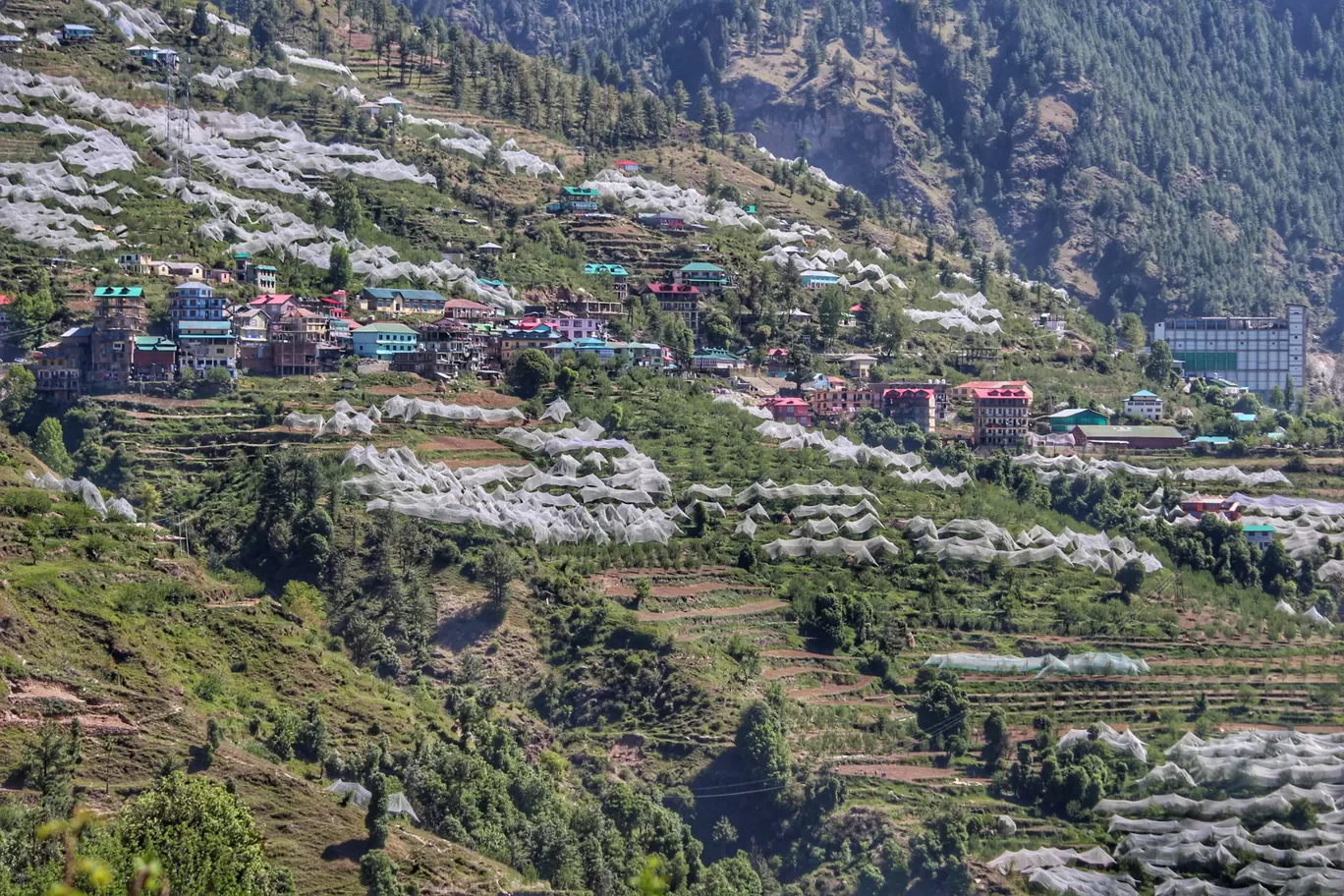 Photo of Shimla By कुलदीपक कटवाल