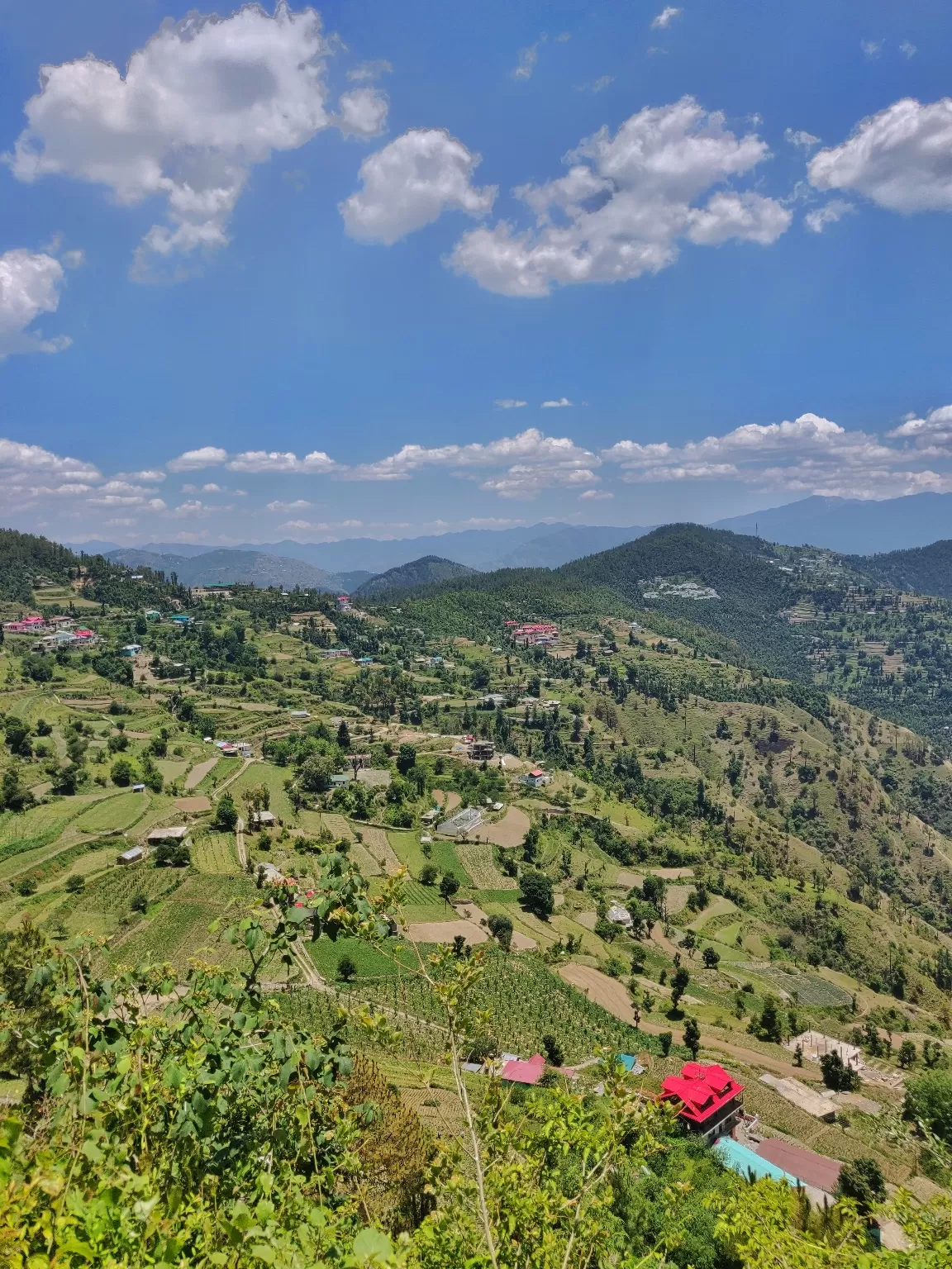 Photo of Shimla By कुलदीपक कटवाल