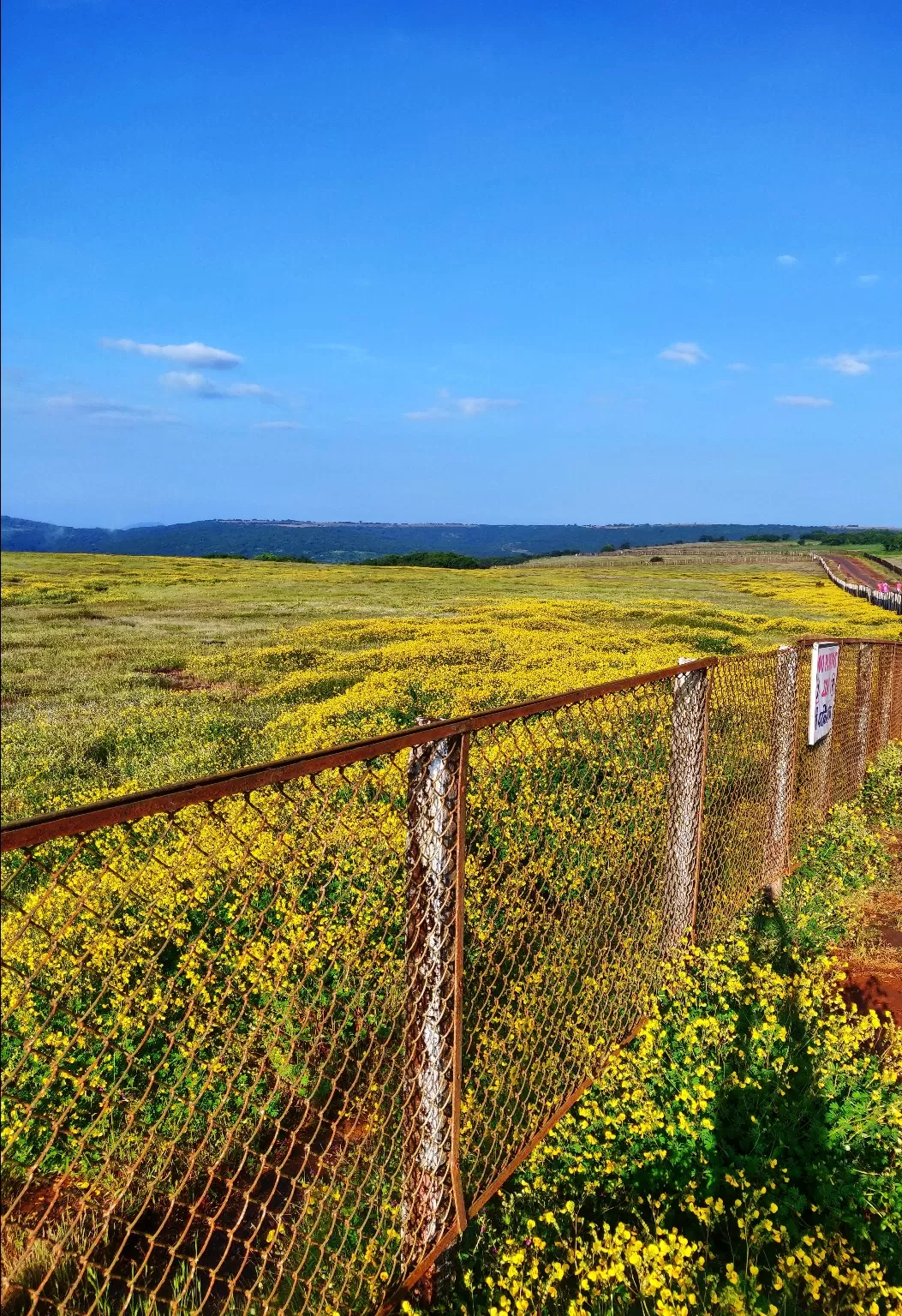 Photo of Kaas Plateau of Flowers By Deepa Khanolkar