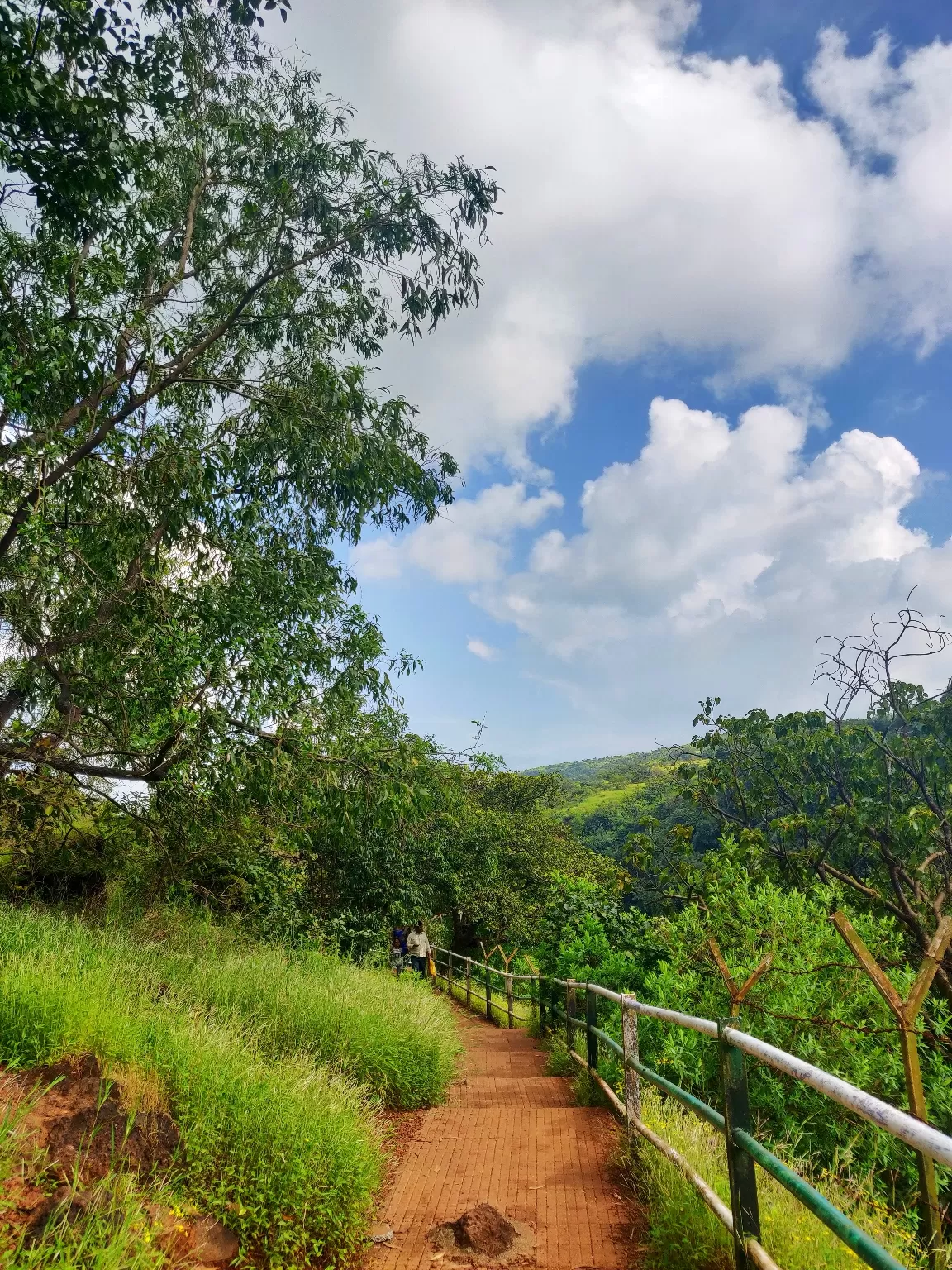 Photo of Kaas Plateau of Flowers By Deepa Khanolkar