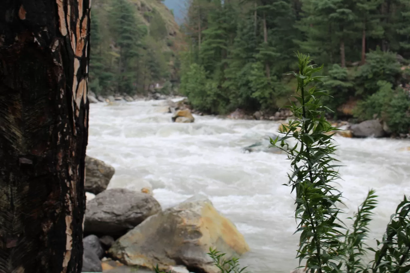 Photo of Kheer Ganga Trek By Sandeep Bhatt