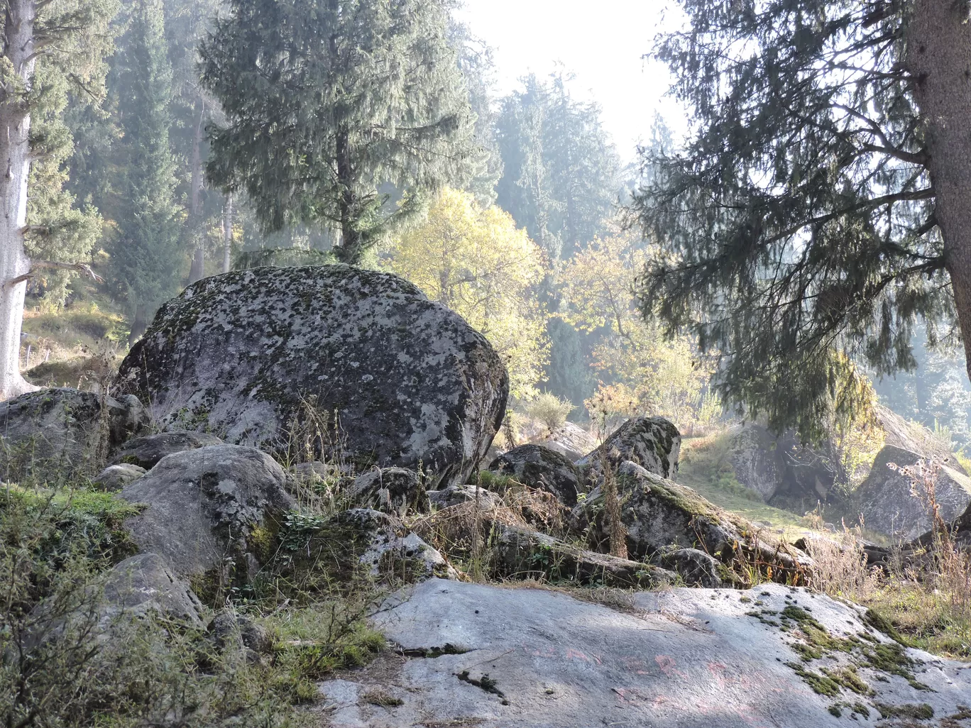 Photo of Kheerganga Trek By Vivek Singh Chahal