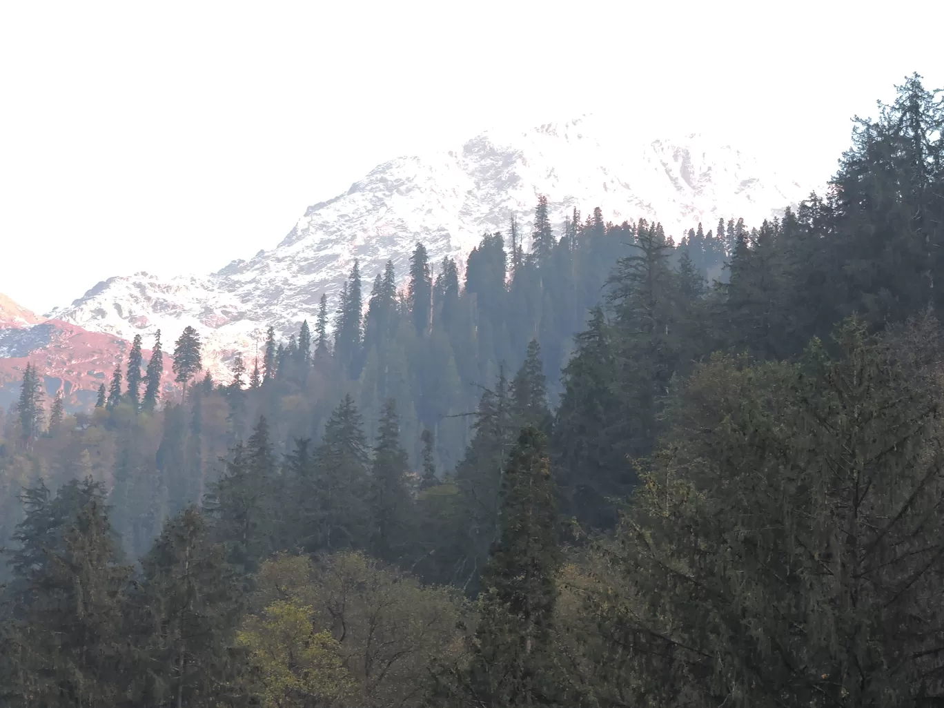 Photo of Kheerganga Trek By Vivek Singh Chahal