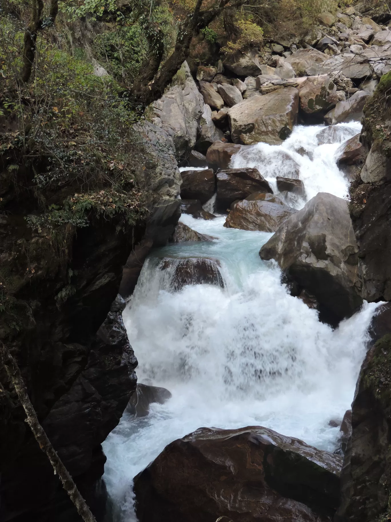 Photo of Kheerganga Trek By Vivek Singh Chahal