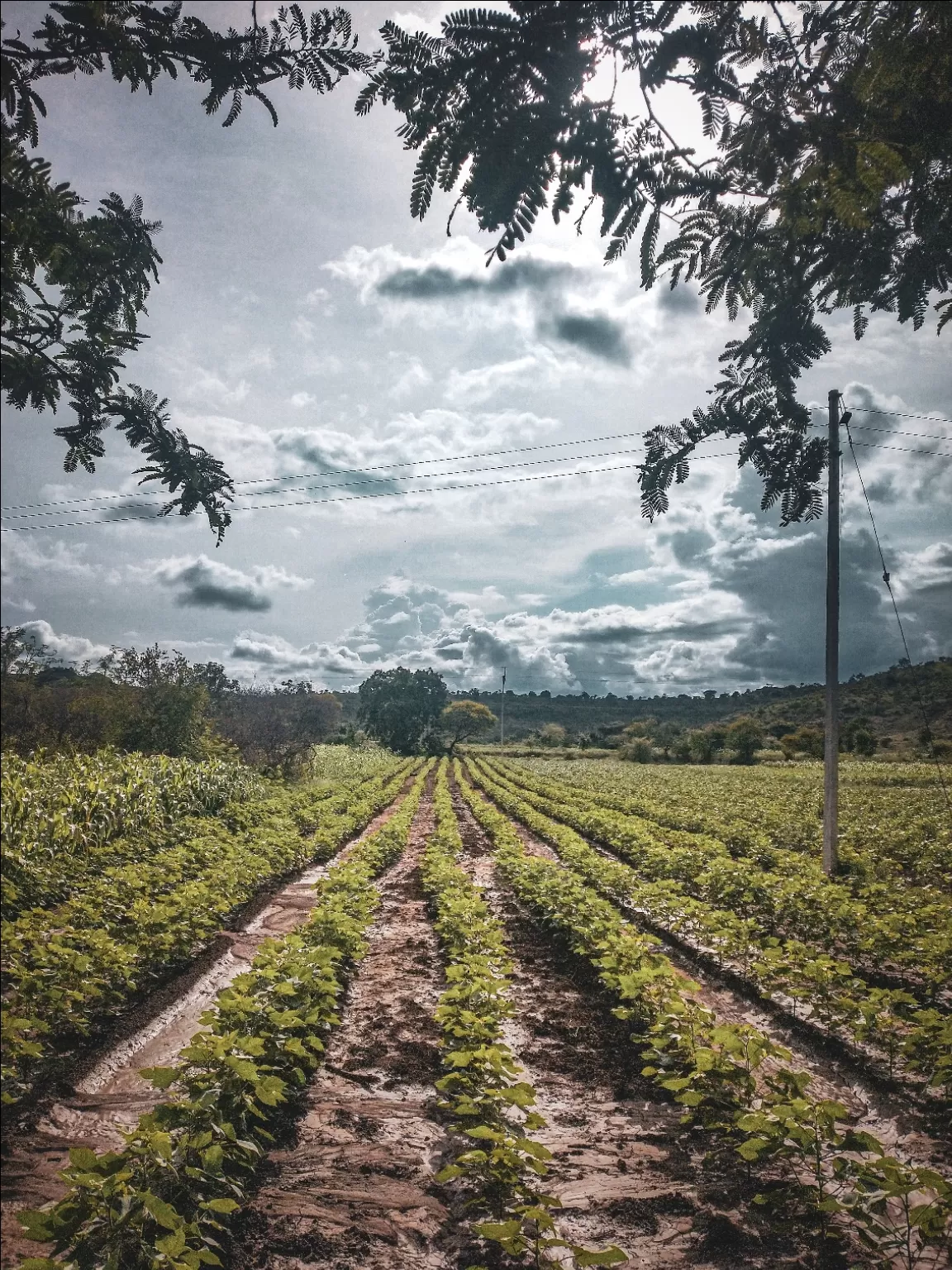 Photo of Beed By Aariz Markhelkar