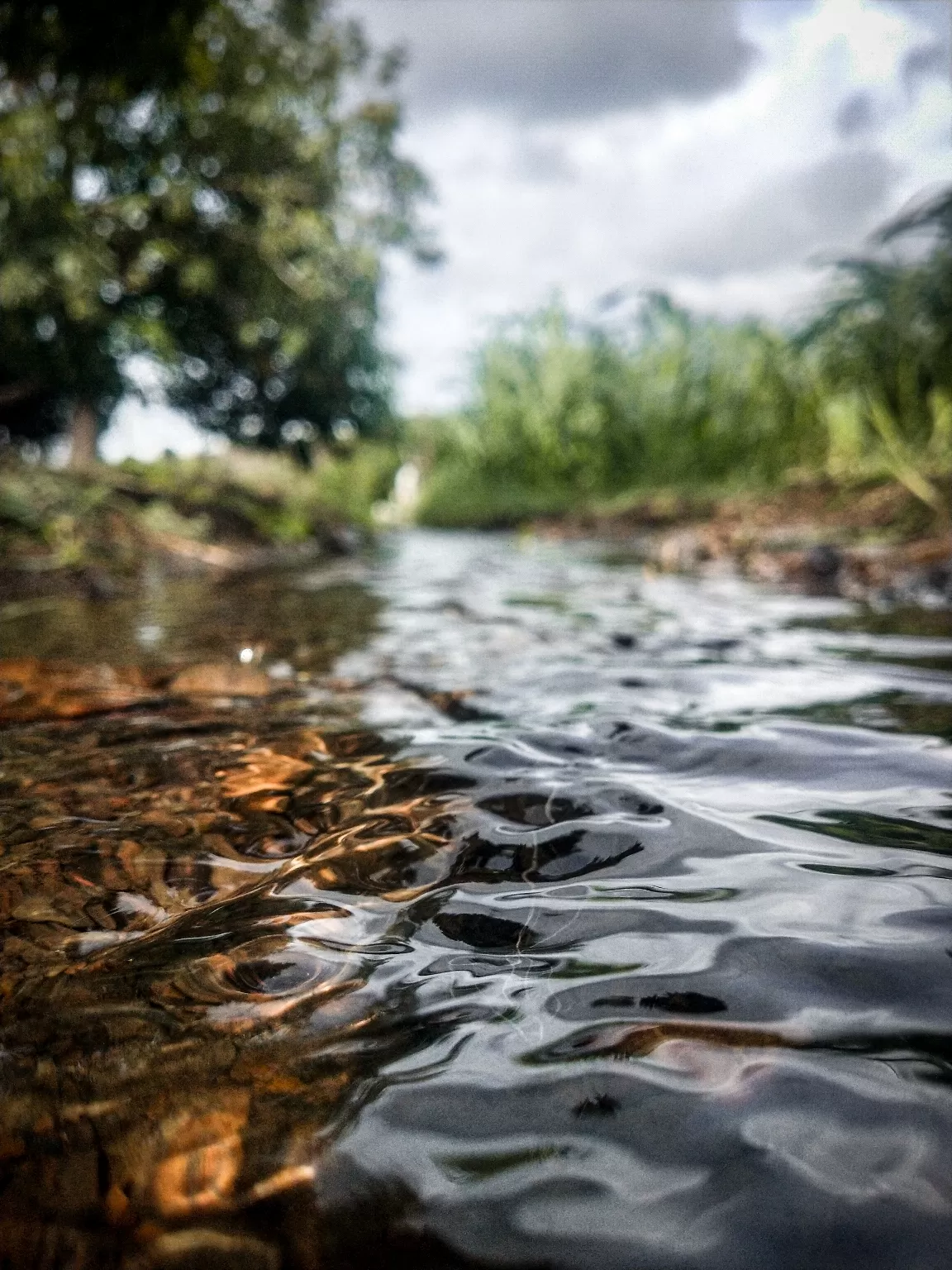 Photo of Beed By Aariz Markhelkar