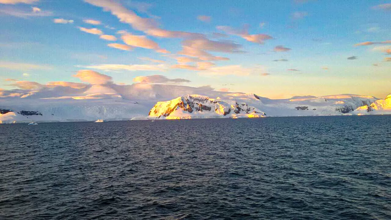 Photo of Antarctica Peninsula Penguin Colony By herlipstick.hiscamera