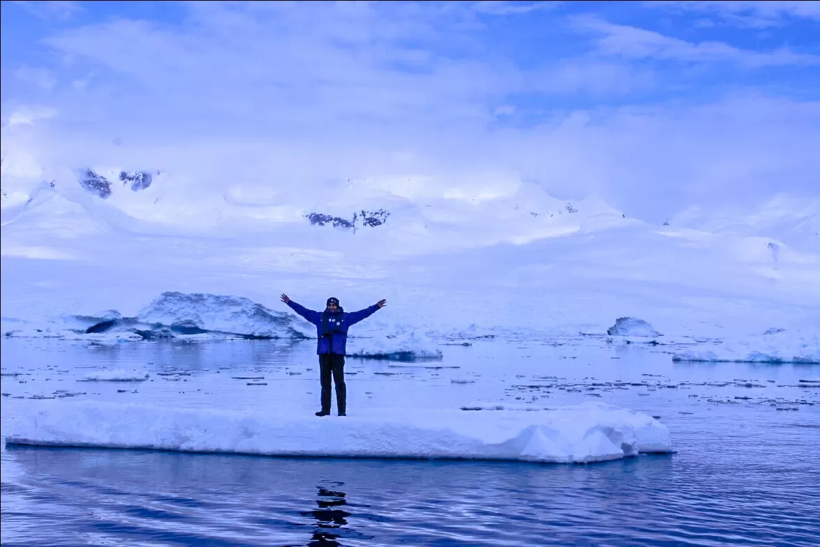 Photo of Antarctica Peninsula Penguin Colony By herlipstick.hiscamera