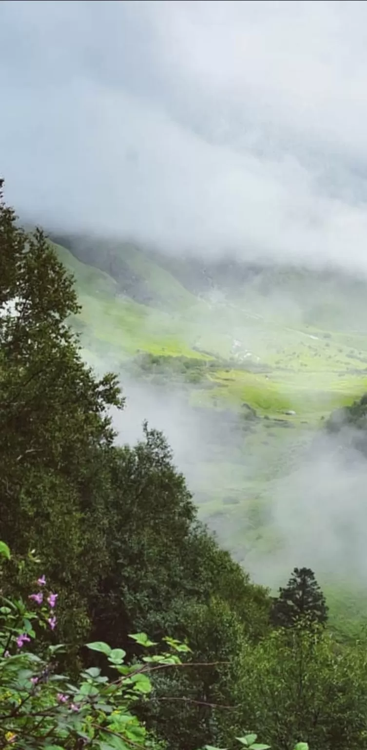 Photo of Valley of Flowers National Park By Kundan Bohra