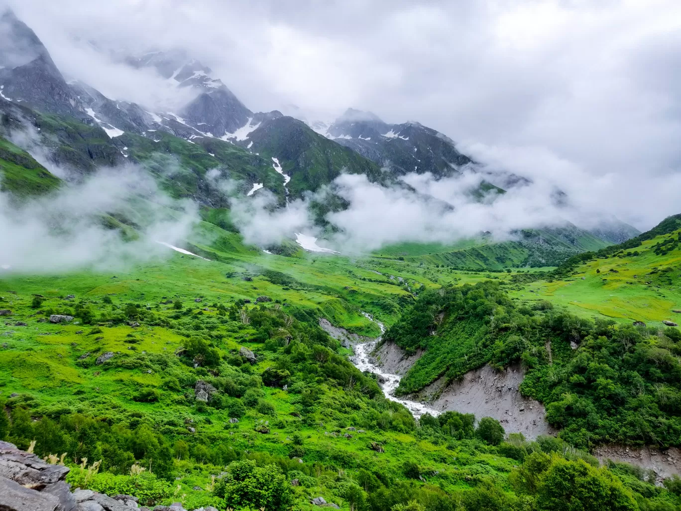 Photo of Valley of Flowers National Park By Kundan Bohra