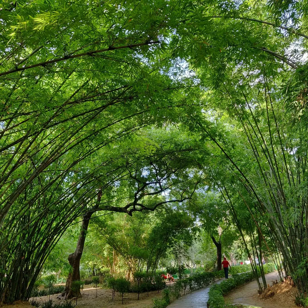 Photo of Lodhi Garden By Vishal singh bisht