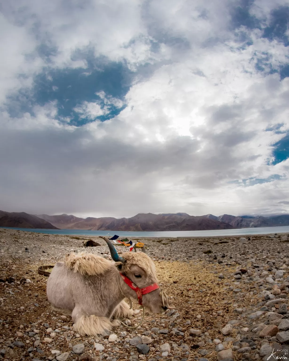 Photo of Ladakh By Kevin Jariwala