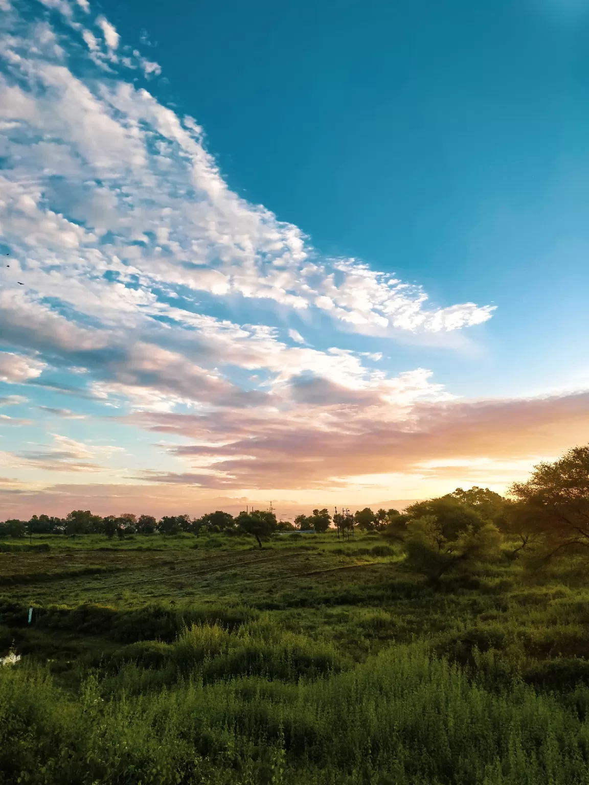 Photo of Daltonganj By saurabh shukla