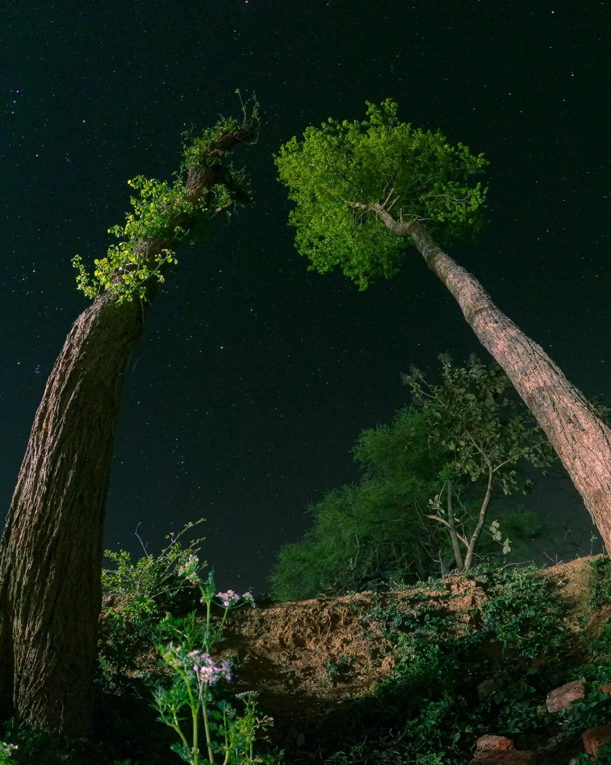 Photo of Jharkhand By saurabh shukla