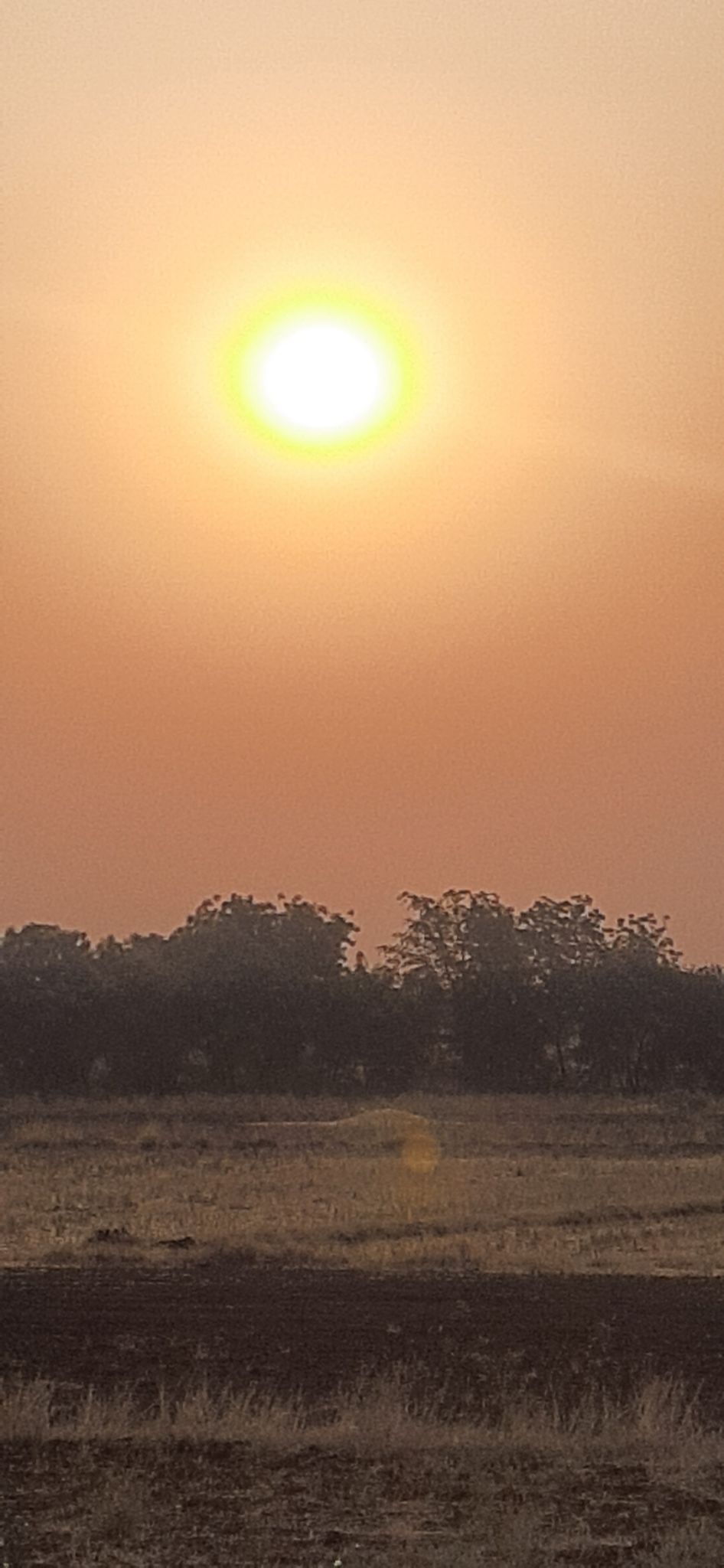 Photo of Shirpur By Harshal Patil