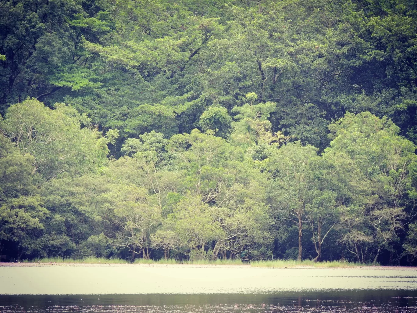 Photo of Pookode Lake By Aromal