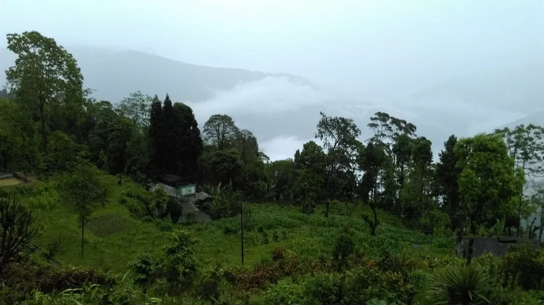 Photo of Tinchuley Gumbadara Viewpoint By Kurchi Singharoy