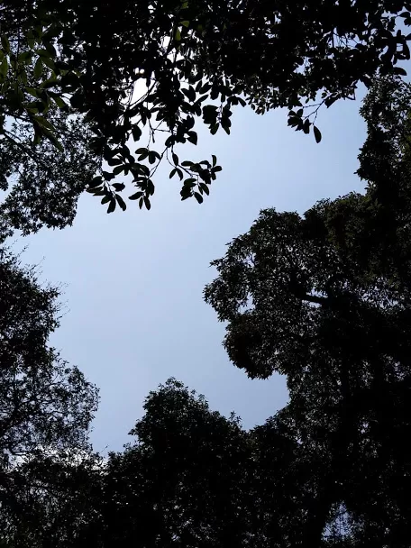 Photo of Meghalaya By Kurchi Singharoy