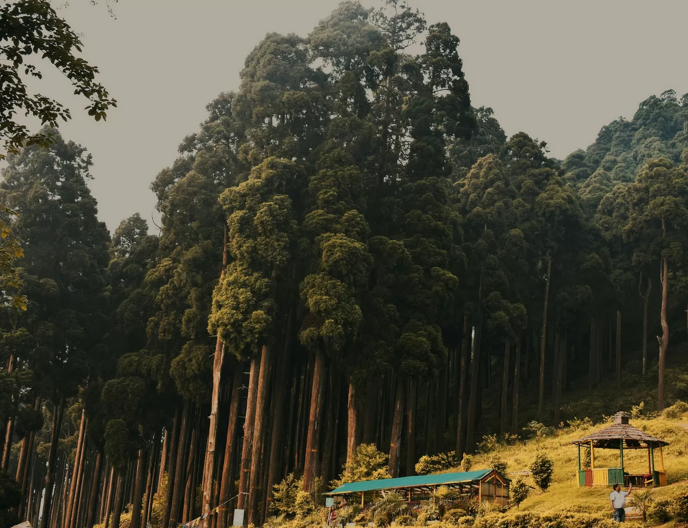 Photo of Darjeeling By Manisha Mandal