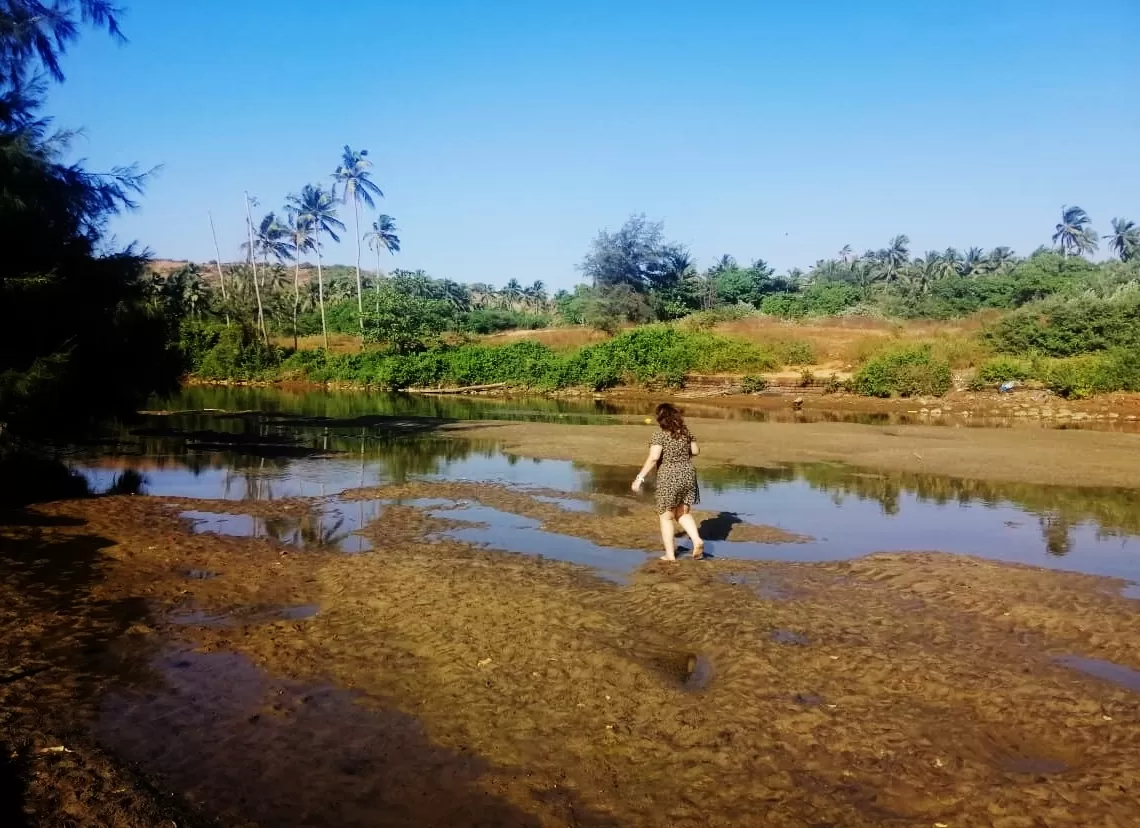 Photo of Mandrem Beach Goa By Sinchita Sinha