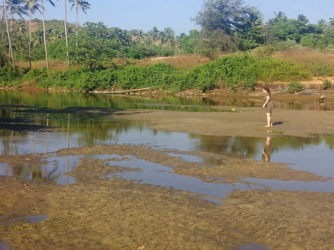 Photo of Mandrem Beach Goa By Sinchita Sinha