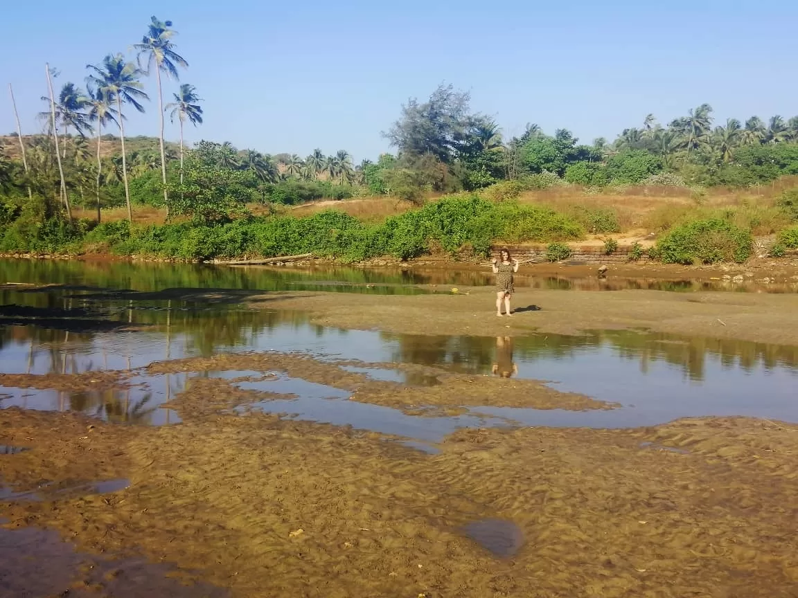 Photo of Mandrem Beach Goa By Sinchita Sinha