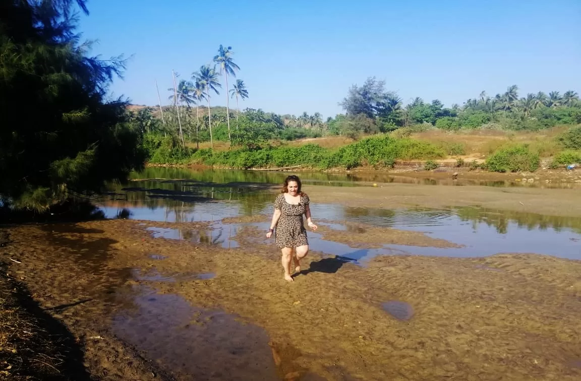 Photo of Mandrem Beach Goa By Sinchita Sinha