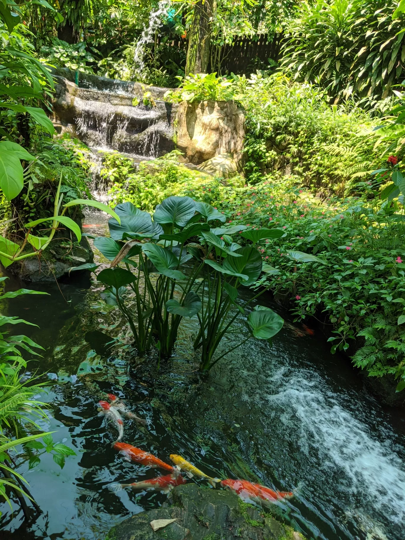 Photo of Borivali West Mumbai By Sinchita Sinha
