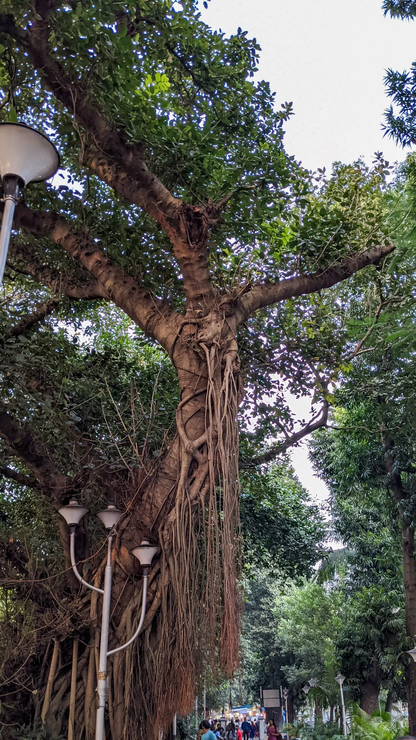 Photo of Princep Ghat By Sinchita Sinha