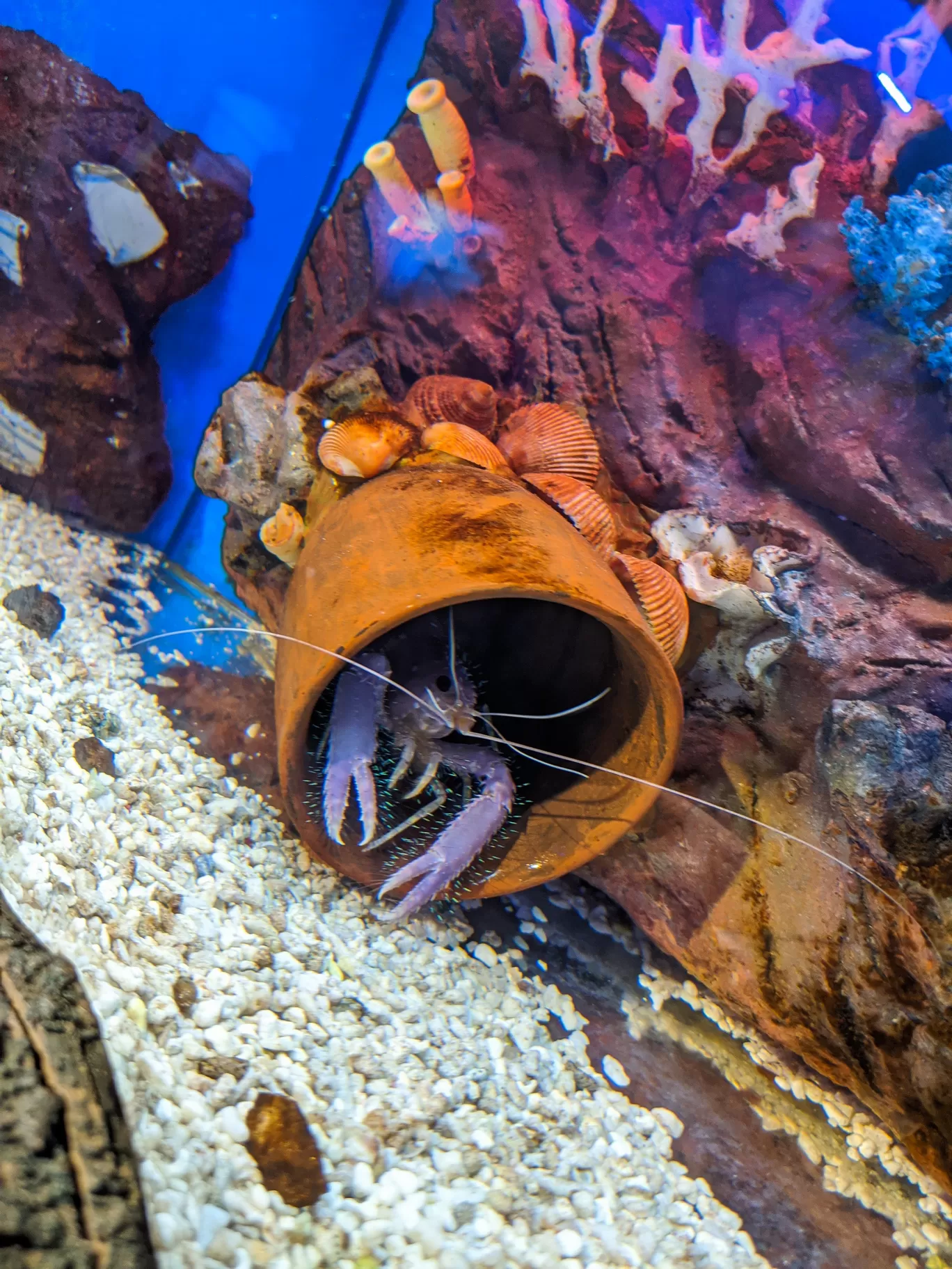Photo of Aquaria KLCC By Sinchita Sinha