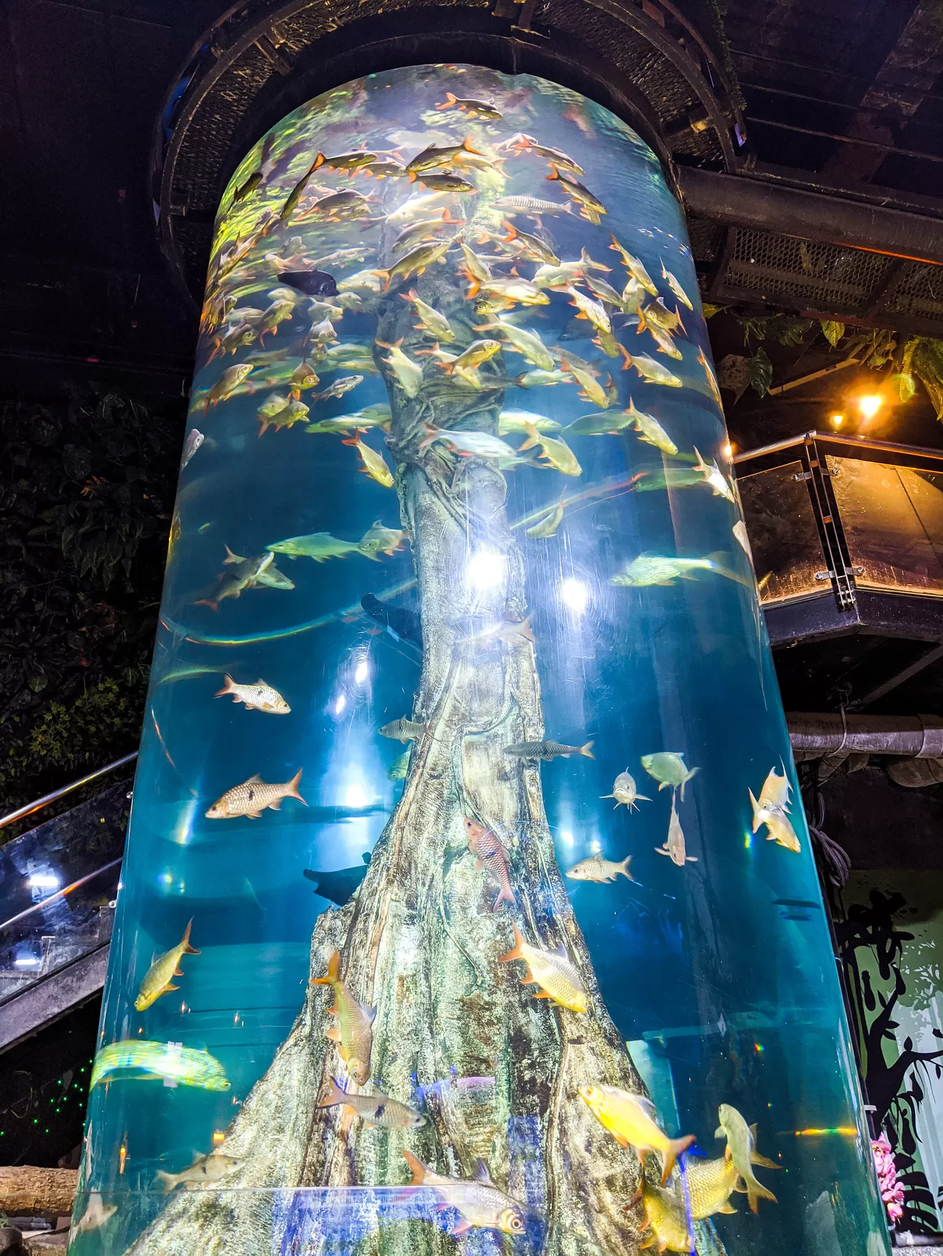 Photo of Aquaria KLCC By Sinchita Sinha